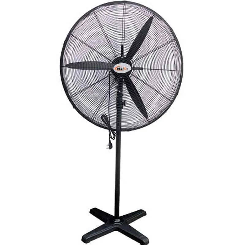 [91] Fan  Big