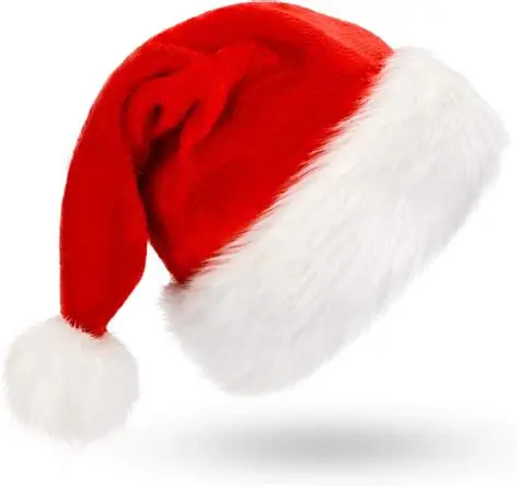 [220] Christmas hat